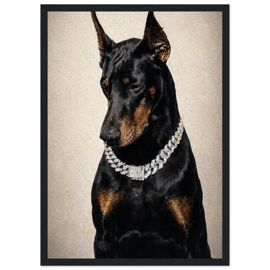 1c94c0dd-2813-4f52-b270-6a3607b415df